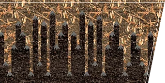 ANORDNUNG DER ZINKEN AM GRUBBER