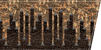 ORIGINELLE ZINKENANORDNUNG